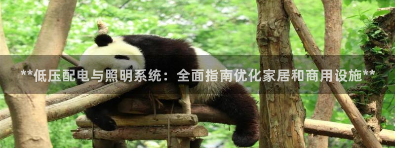 **低压配电与照明系统：全面指南优化家居和商用设施**