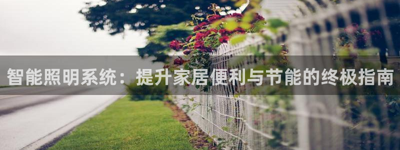 智能照明系统：提升家居便利与节能的终极指南