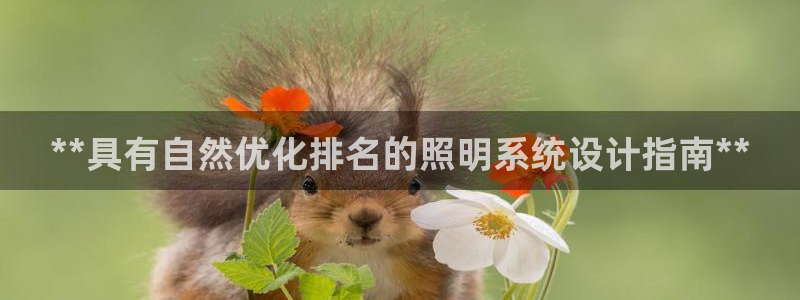 **具有自然优化排名的照明系统设计指南**