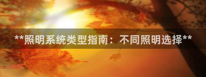 **照明系统类型指南：不同照明选择**