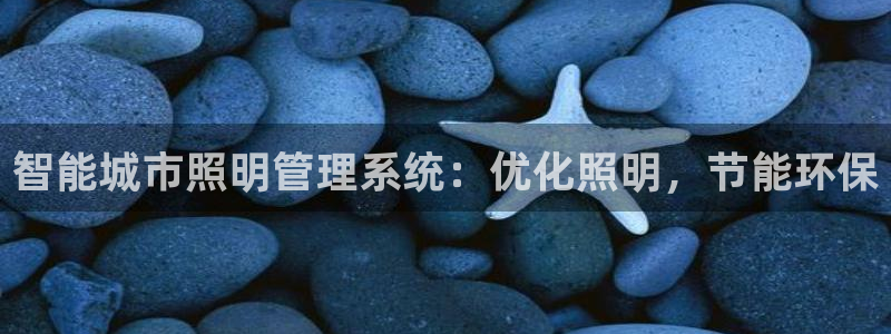 智能城市照明管理系统：优化照明，节能环保