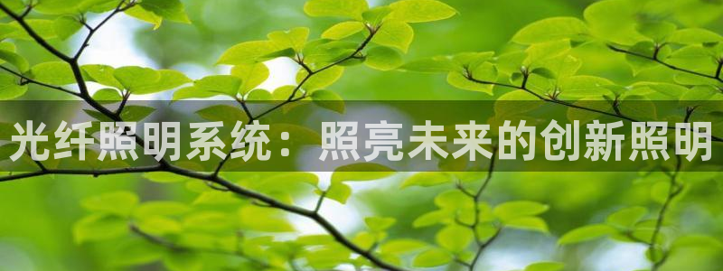 光纤照明系统：照亮未来的创新照明