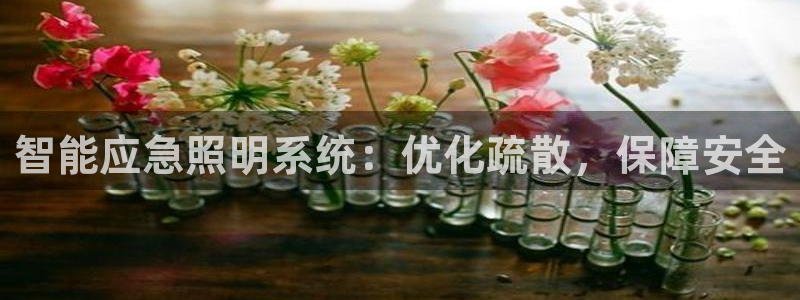 智能应急照明系统：优化疏散，保障安全