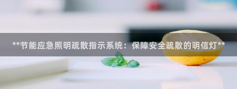 **节能应急照明疏散指示系统：保障安全疏散的明信灯**