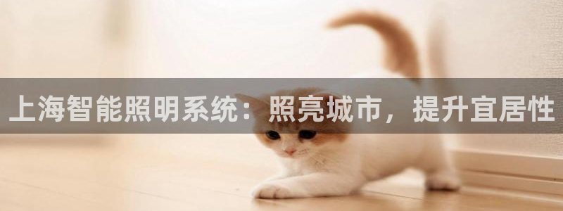 上海智能照明系统：照亮城市，提升宜居性