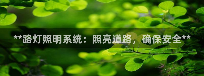 **路灯照明系统：照亮道路，确保安全**