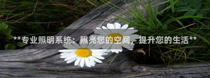 **专业照明系统：照亮您的空间，提升您的生活**