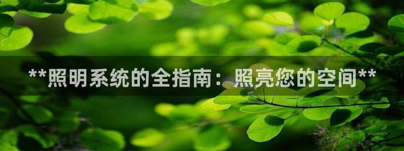 **照明系统的全指南：照亮您的空间**