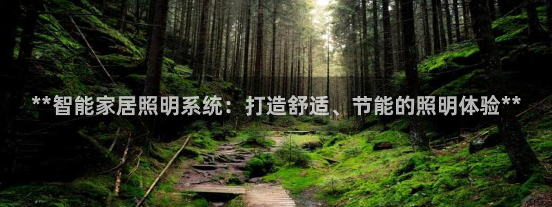 **智能家居照明系统：打造舒适、节能的照明体验**
