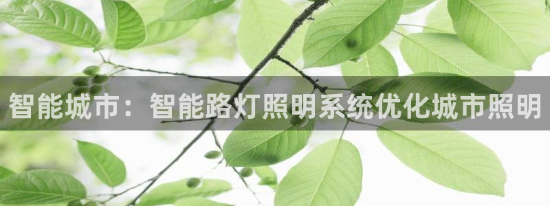 智能城市：智能路灯照明系统优化城市照明