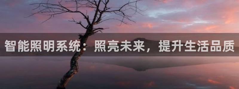 智能照明系统：照亮未来，提升生活品质