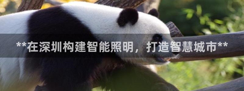 **在深圳构建智能照明，打造智慧城市**