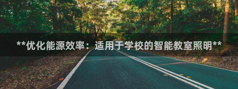 **优化能源效率：适用于学校的智能教室照明**