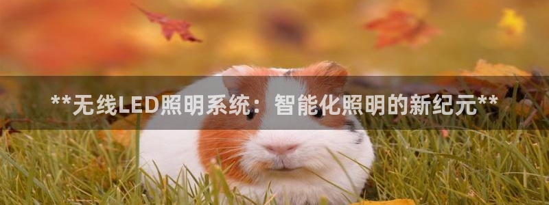 **无线LED照明系统：智能化照明的新纪元**