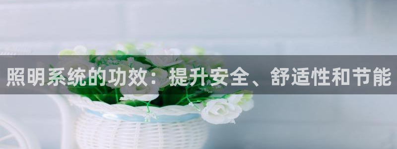照明系统的功效：提升安全、舒适性和节能