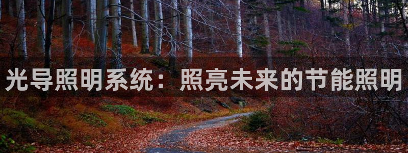 光导照明系统：照亮未来的节能照明