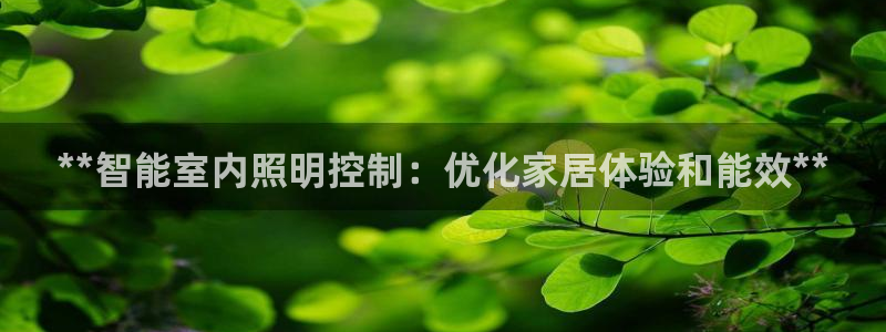 **智能室内照明控制：优化家居体验和能效**