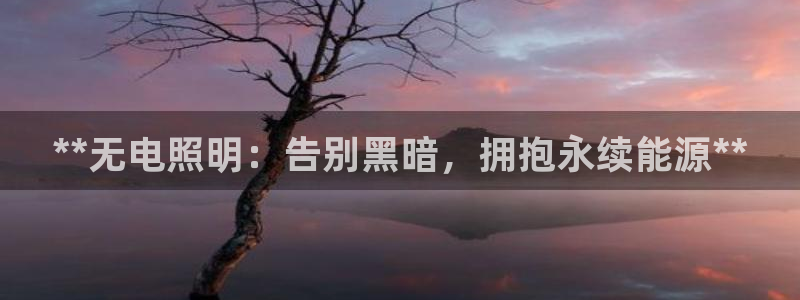 **无电照明：告别黑暗，拥抱永续能源**