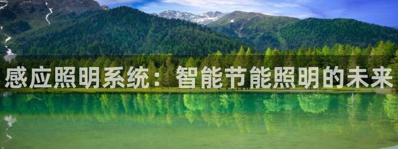 感应照明系统：智能节能照明的未来