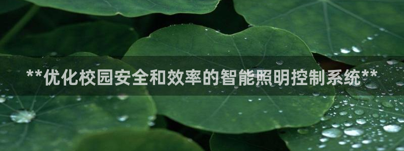 **优化校园安全和效率的智能照明控制系统**