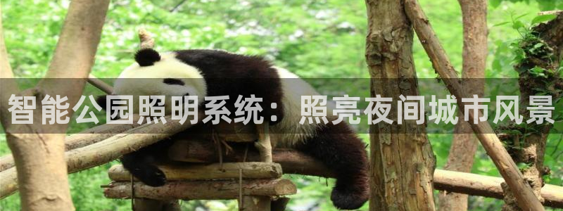 智能公园照明系统：照亮夜间城市风景