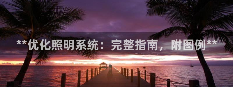 **优化照明系统：完整指南，附图例**