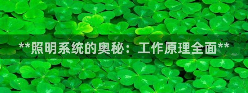 **照明系统的奥秘：工作原理全面**