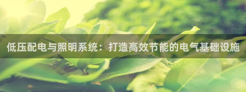 低压配电与照明系统：打造高效节能的电气基础设施