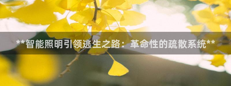 **智能照明引领逃生之路：革命性的疏散系统**