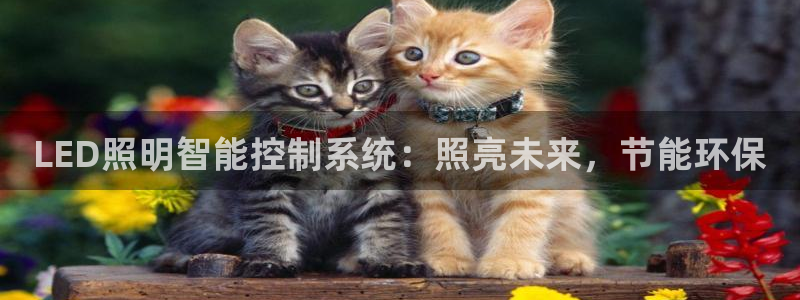 LED照明智能控制系统：照亮未来，节能环保