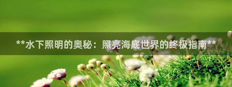 **水下照明的奥秘：照亮海底世界的终极指南**