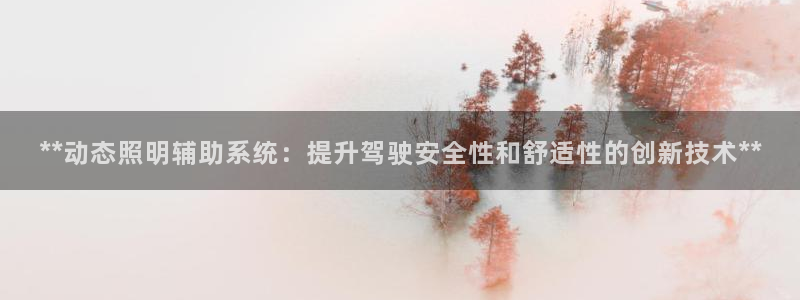 **动态照明辅助系统:提升驾驶安全性和舒适性的创新技术**