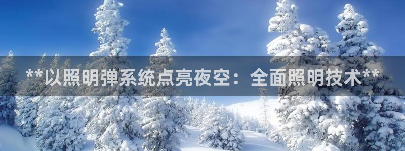 **以照明弹系统点亮夜空：全面照明技术**