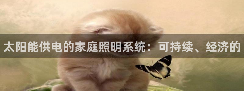 太阳能供电的家庭照明系统：可持续、经济的