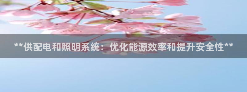 **供配电和照明系统：优化能源效率和提升安全性**