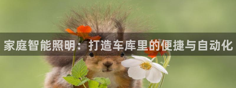 家庭智能照明：打造车库里的便捷与自动化