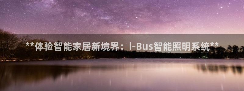 **体验智能家居新境界：i-Bus智能照明系统**