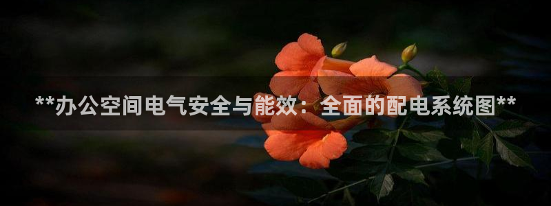 **办公空间电气安全与能效：全面的配电系统图**