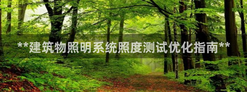**建筑物照明系统照度测试优化指南**