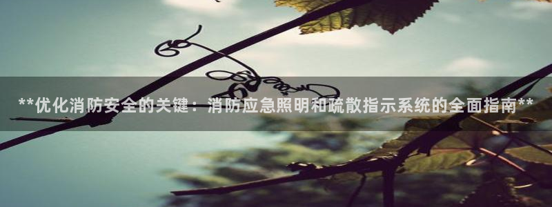 **优化消防安全的关键：消防应急照明和疏散指示系统的全面指南**