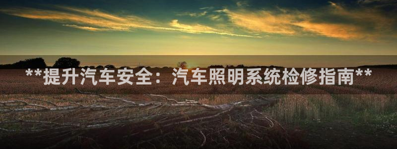 **提升汽车安全:汽车照明系统检修指南**