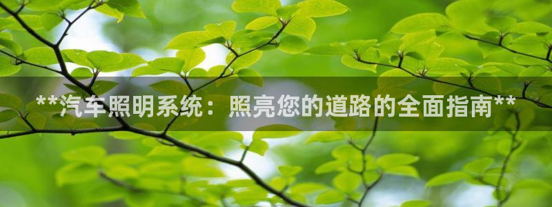 **汽车照明系统：照亮您的道路的全面指南