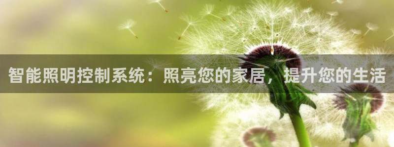 智能照明控制系统：照亮您的家居，提升您的生活