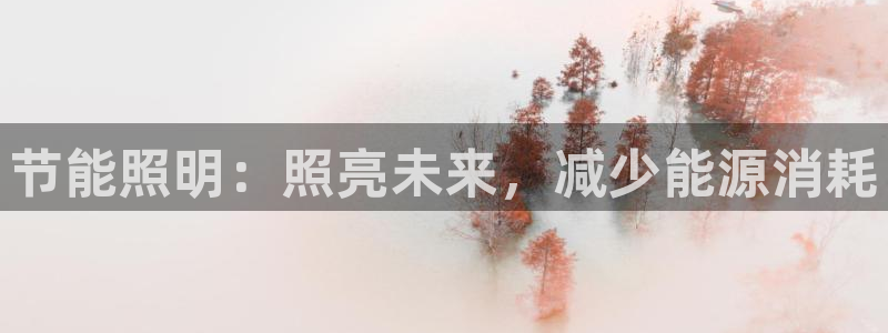 节能照明：照亮未来，减少能源消耗