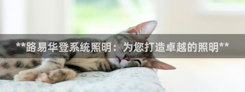**路易华登系统照明:为您打造卓越的照明**