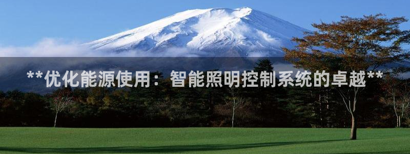 **优化能源使用：智能照明控制系统的卓越**