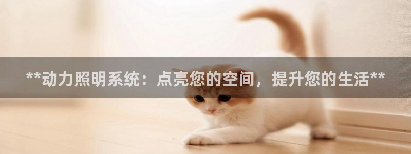 **动力照明系统：点亮您的空间，提升您的生活**
