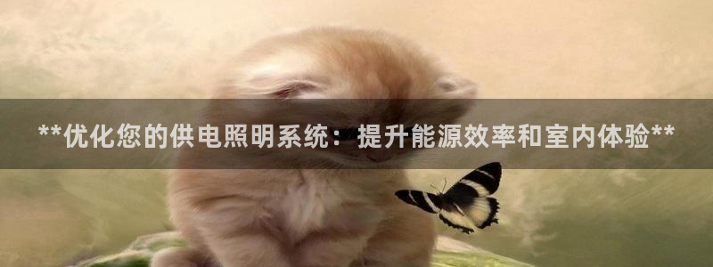 **优化您的供电照明系统：提升能源效率和室内体验**