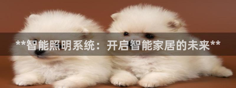 **智能照明系统：开启智能家居的未来**