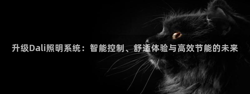 升级Dali照明系统:智能控制、舒适体验与高效节能的未来